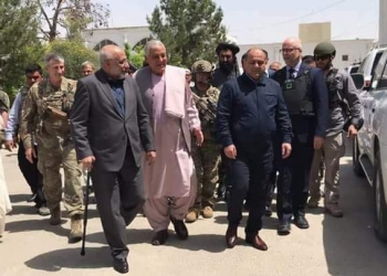 نیکولسن او افغان چارواکي