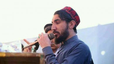 په پاکستان کې د پښتون ژغورنې غورځنګ مشر، منظور پښتین
