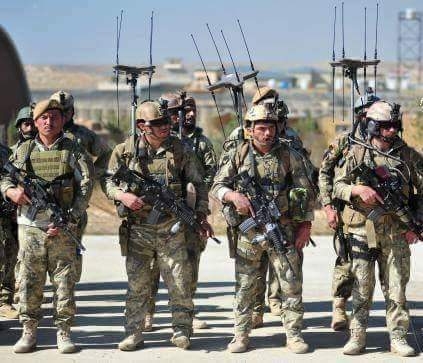 کمپاین ځواکونه