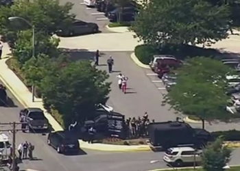 امریکا برید