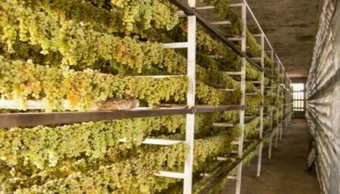 د انګورو د پروسس خونې