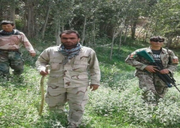 قوماندان اعظم پنجشیری