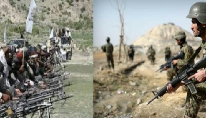 طالبان، عسکر