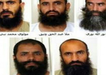 پخواني طالب چارواکي چې له ګوانتنامو خوشي شوي و