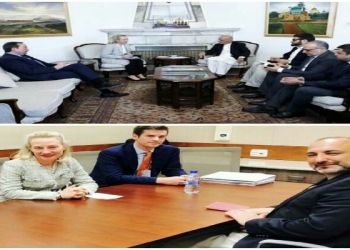 الیس ویلز له افغان چارواکو سره