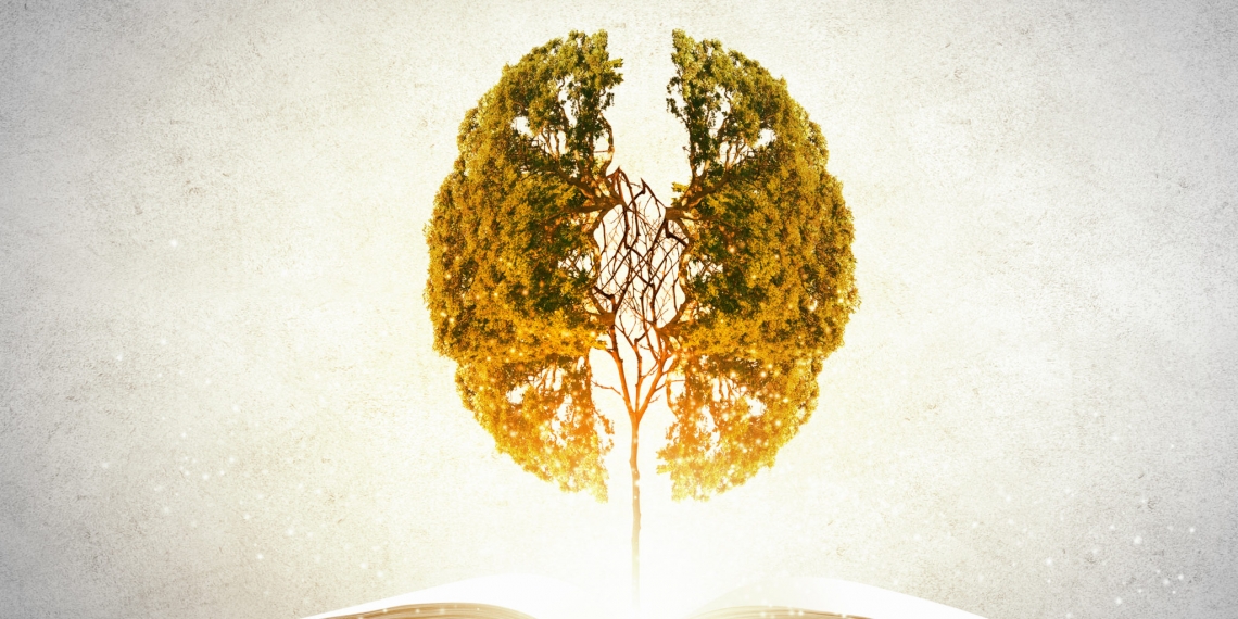 لوستل مو په دماغو کې لیدو یا بصارت برخه قوي کوي( فایل فوټو: کابل ټکی کام)